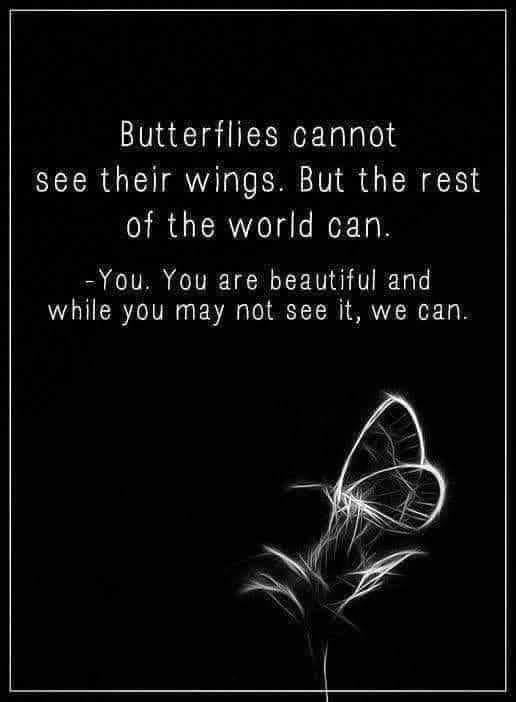 Butterflies cannot see their wings, but the rest of the world can! – Tamara  Kulish